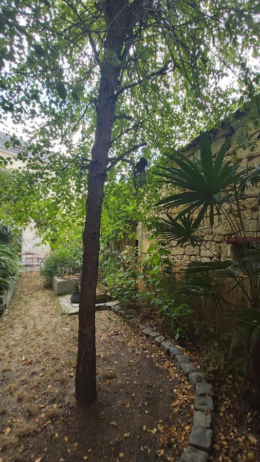 La Maison De Louise Chinon #Chateaux #Vignobles المظهر الخارجي الصورة