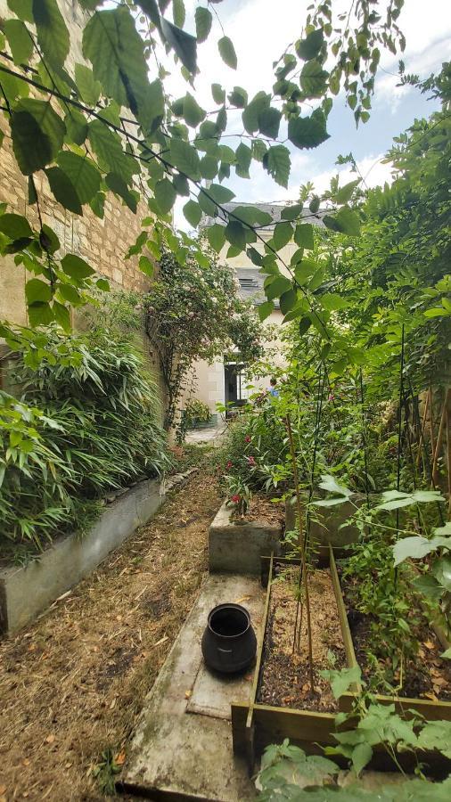 La Maison De Louise Chinon #Chateaux #Vignobles المظهر الخارجي الصورة